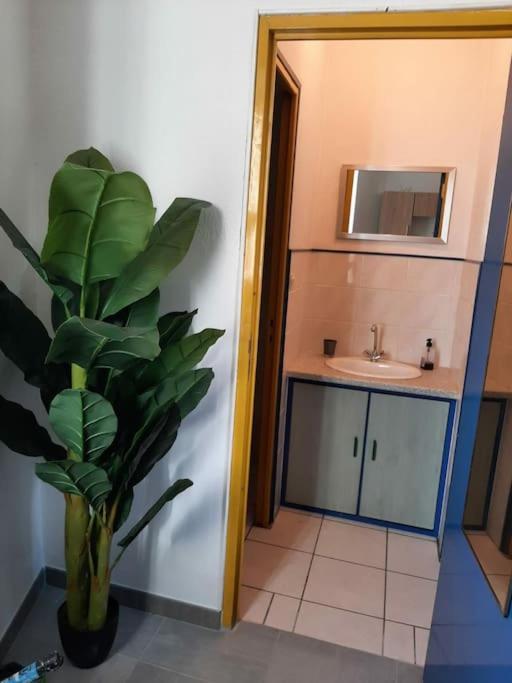 Confortable En Hyper Centre Parking Gratuit Dans La Rue Acces Avec Boite A Clee Apartment Кастр Екстериор снимка